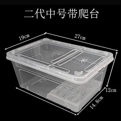 新款大号饲养盒爬宠角蛙爬虫箱蚕宝宝昆虫蜘蛛守宫盒蜥蜴宠物