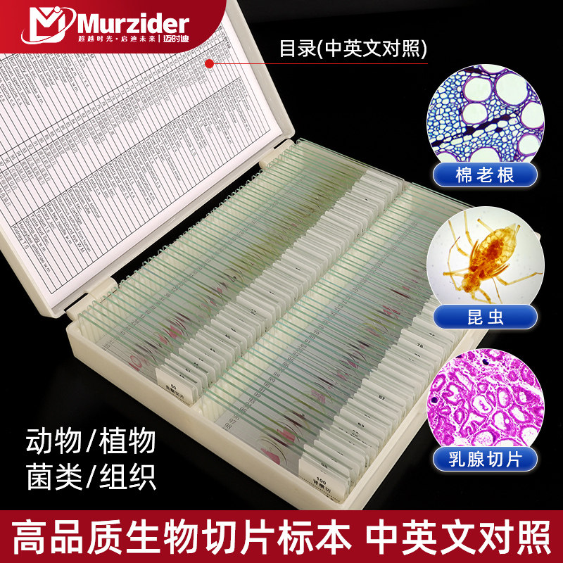 标本片生物金相显微镜观察切片套装动植物细胞细菌套装高清载玻片