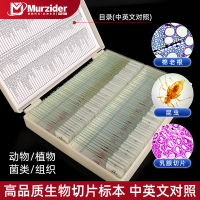标本片生物金相显微镜观察切片套装动植物细胞细菌套装高清载玻片