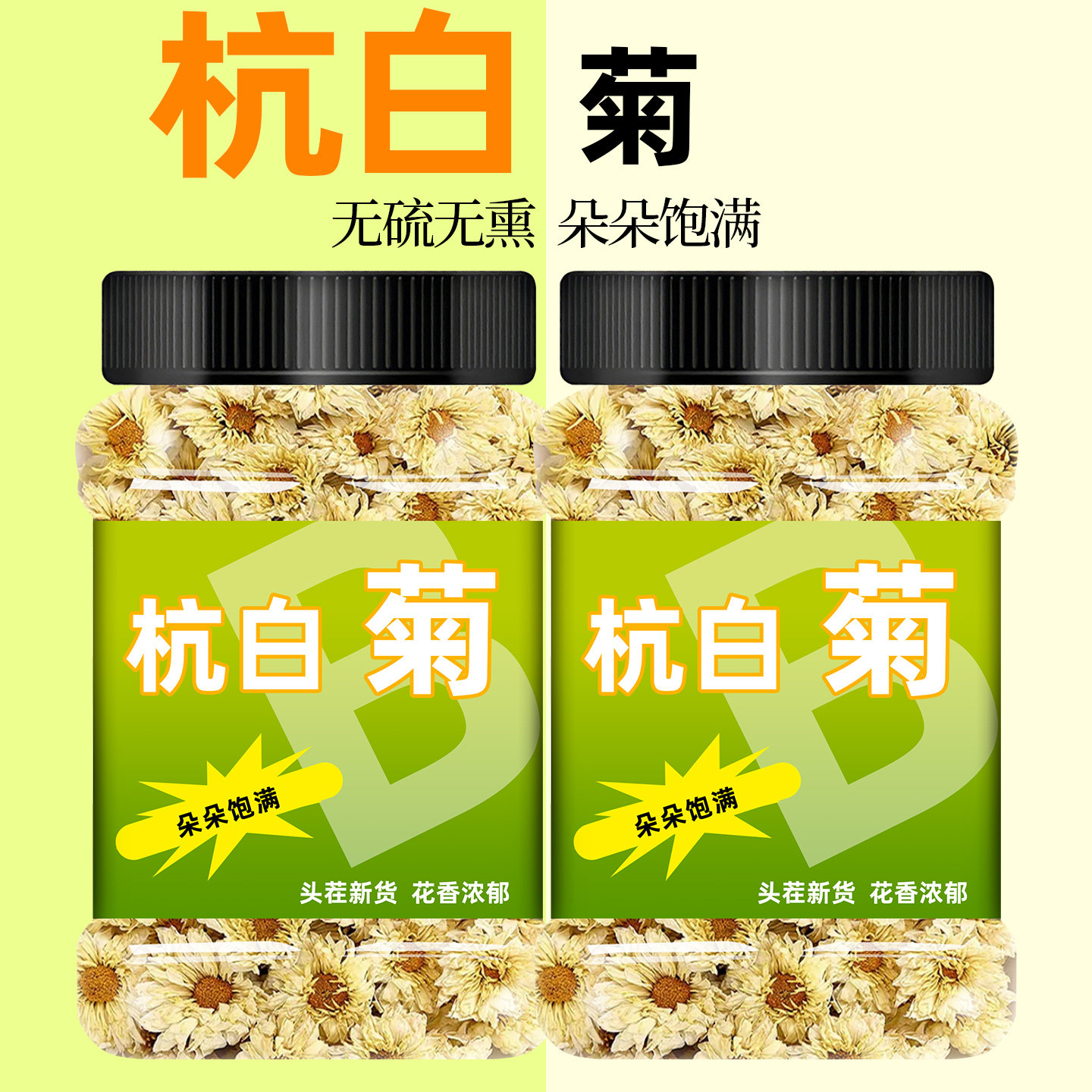 杭白菊桐乡原产罐装正品菊花茶新鲜采摘居家日常去火泡水花草茶饮