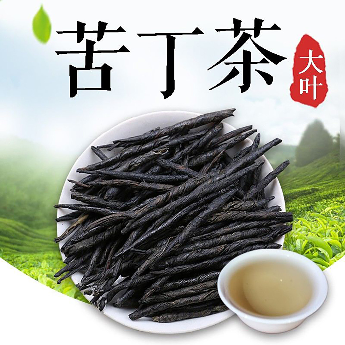 降火苦丁茶云南大叶苦丁特级野生