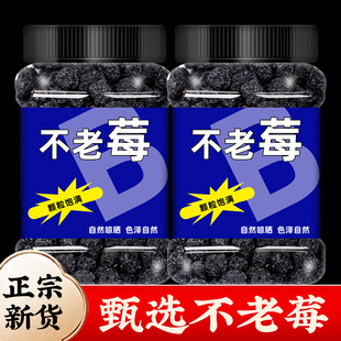 不老莓正品官方旗舰店东北特产黑果花楸不老莓果干新货长白山干货