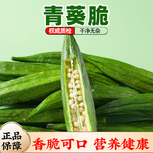 秋葵脆干原味即食脱水冻干果蔬菜干黄蜀葵羊角豆泡水非油炸零食吃