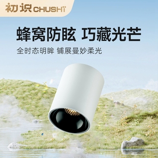 明装 初识照明 筒灯客家用厅背景墙聚光灯全光谱过道玄关吸顶射灯