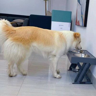 【贝拉家】同款护颈食盆架 狗盆 升级桌