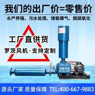 3KW鱼塘底部增氧机气体增压罗茨鼓风机4KW有机肥曝气罗茨风机15KW