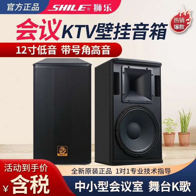 狮乐BX-112音箱12英寸200W专业会议培训酒店背景音乐音箱一对
