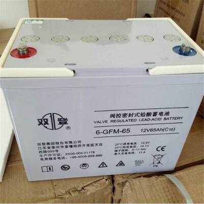 双登蓄电池6-GFM-65 免维护铅酸电瓶 12V65ah直流屏UPS不间断电源