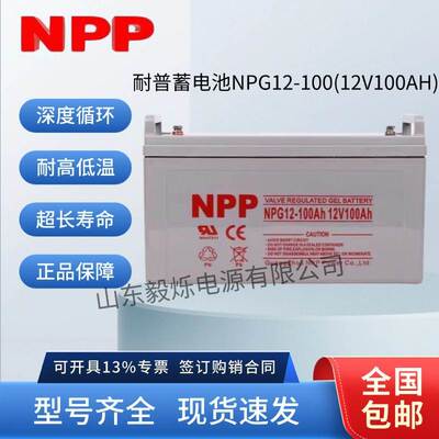 光伏储能蓄电池NPG12-100AH直流屏UPS应急电源耐普蓄电池12v100ah