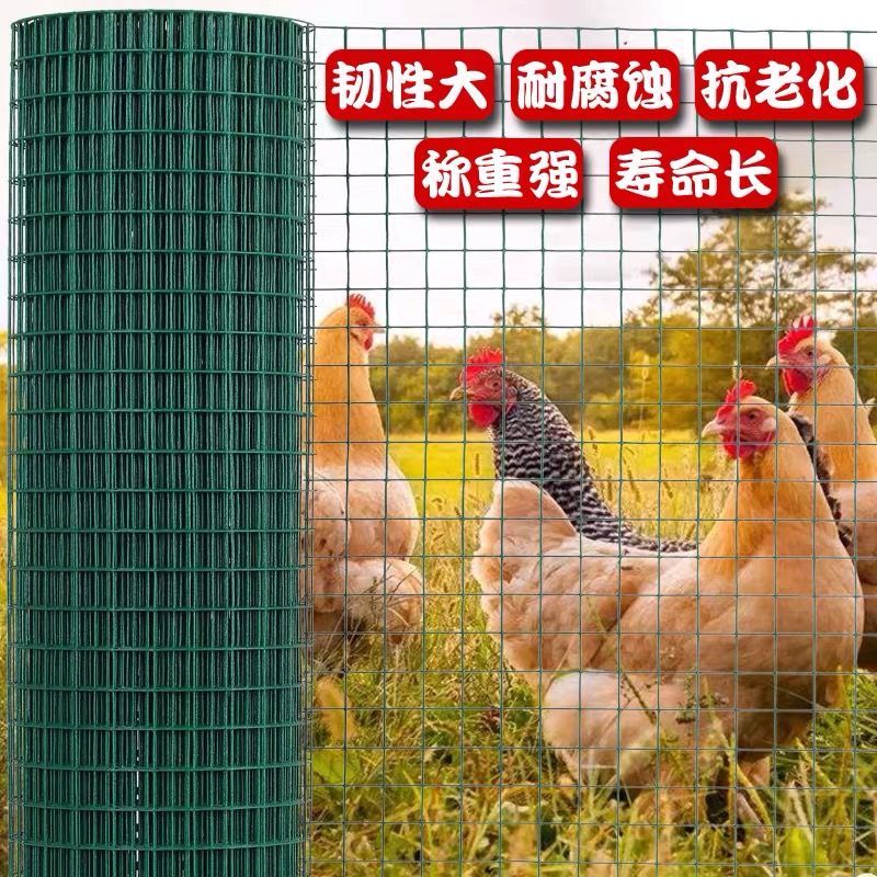 养鸡网隔离网铁网网山地圈地网铁丝网围栏网荷兰网栅栏网格护栏网