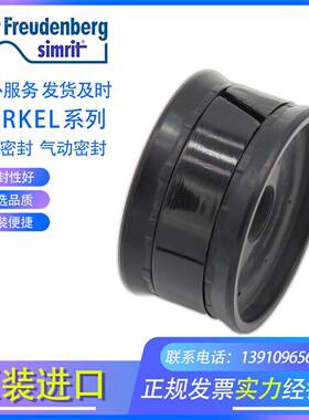 MERKL德国ORTECO brevCettato tduopmE04-1 40*10*22/15 气动RIP