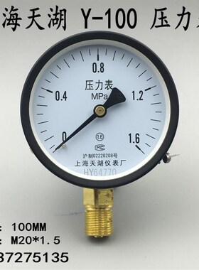 上海天湖压力表Y100水压气压表006 1 16 25mpa真空表010