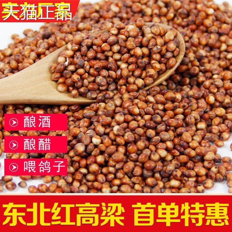 小2麦新红高壳粱0斤带皮高粱10kg酿酒喂鸽子鸽粮食酿醋去5斤鸡鸭