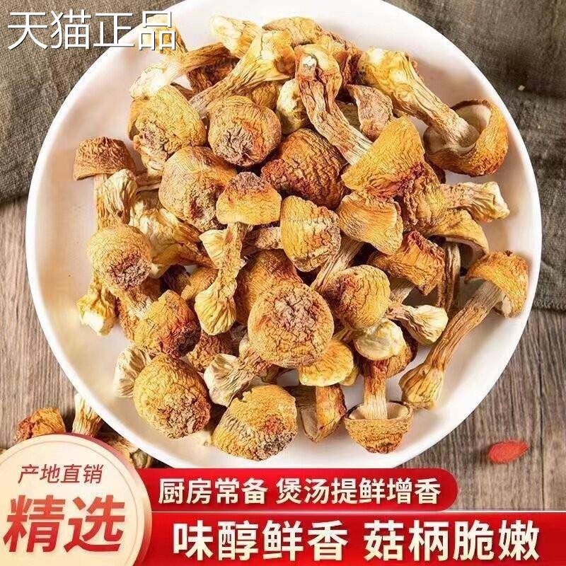 姬特松茸500g干无薰硫 货云南产食用菌菇煲汤食材蘑菇松茸菌