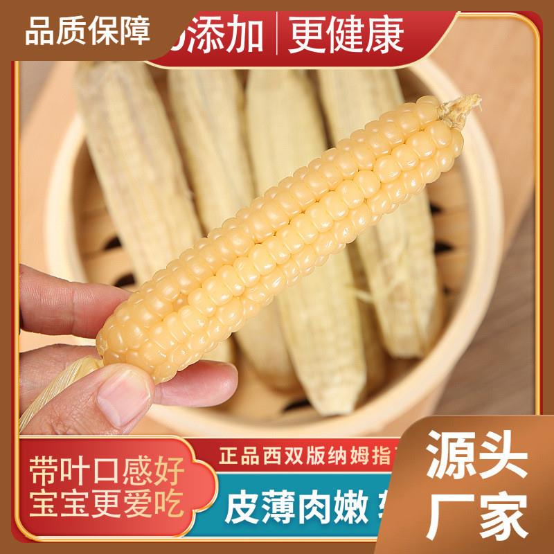 真*ll带皮儿童婴儿云南西