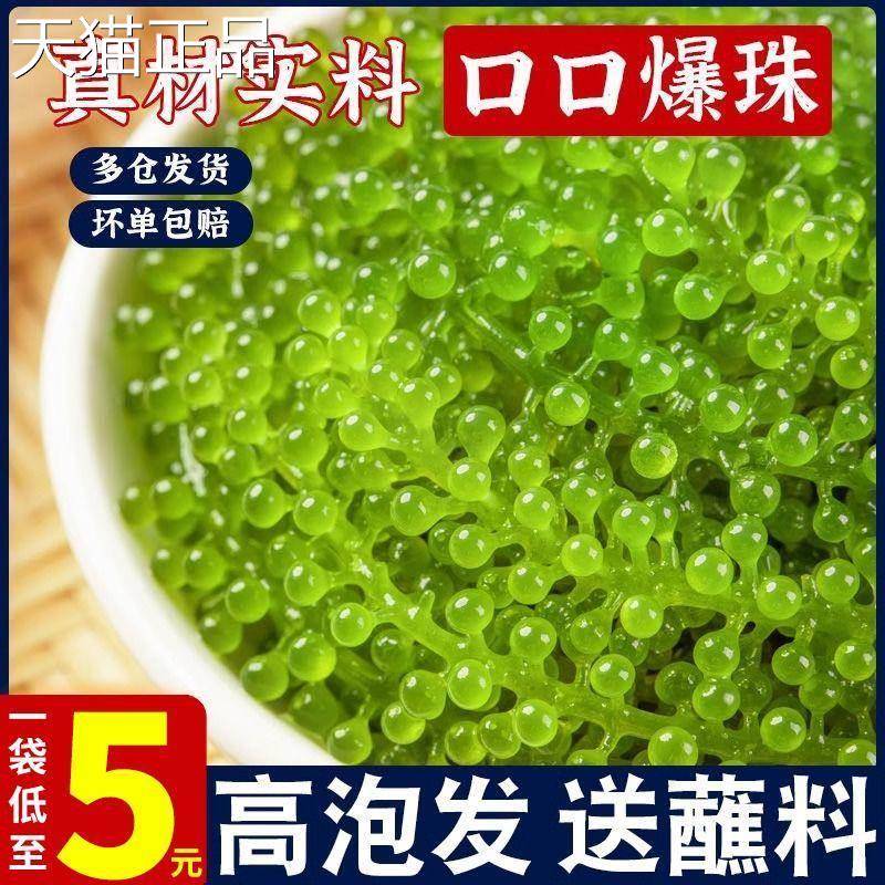 盐渍海葡鲜萄新即食海藻海带海苔蔬菜寿司爆珠绿鱼子酱1旗色舰店
