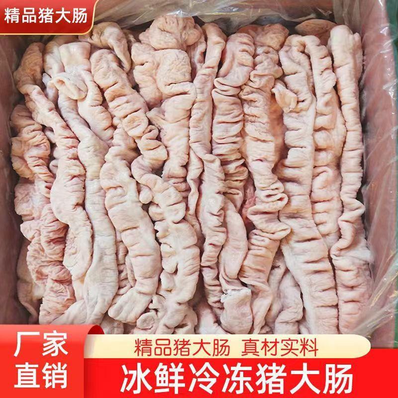 真*猪大肠新鲜肥肠半成品