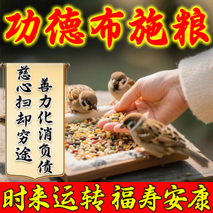 布施鸟粮蚂蚁食物杂粮小米袋装谷子户外阳台野外麻雀喜鹊投喂鸟食
