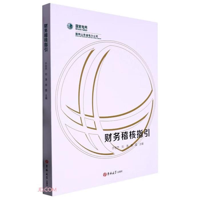 财务稽核指引于忠杰吉林大学出版社9787576802863
