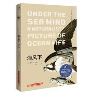 博物图鉴版 邢玮 美 著 译 蕾切尔·卡森 海风下