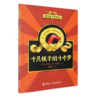 十只袜子的十个梦(波)尤斯蒂娜·贝德纳雷克著接力出版社