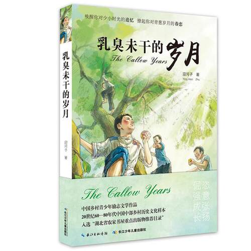 乳臭未干的岁月迎河子长江少年儿童出版社
