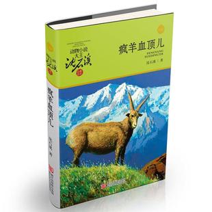 动物小说大王沈石溪.品藏书系:疯羊血顶儿  (升级版)