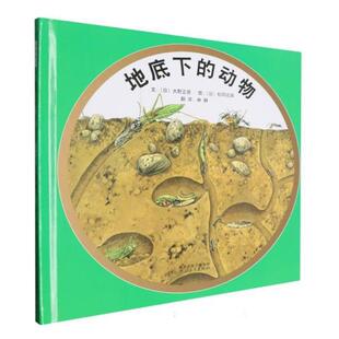 (畅销精装绘本)启发精选世界优秀畅销绘本:地底下的动物
