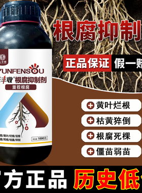 【正品】云丰收根腐抑制剂根腐克星猝倒黄叶烂根死棵生根厂家直销