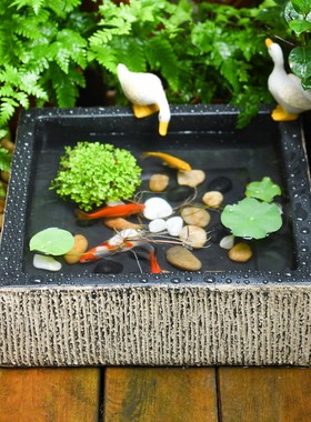 庭院小花园阳台鱼池造景摆件户外鱼缸仿石槽O水景观小院天台布置