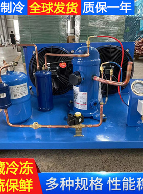 Condensing Unit 冷凝机组超市果蔬保鲜冷库制冷机组制冷压缩机