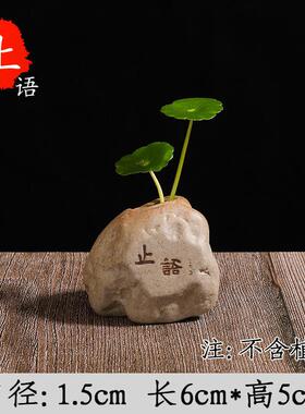 新茶桌摆件禅意石头装饰客厅茶宠摆件水培花盆器皿创意绿萝小花摆