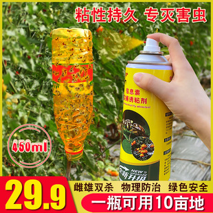 瓜果实蝇诱粘剂果树园昆虫果蝇药黄色双面粘虫板针蜂引诱剂诱捕器