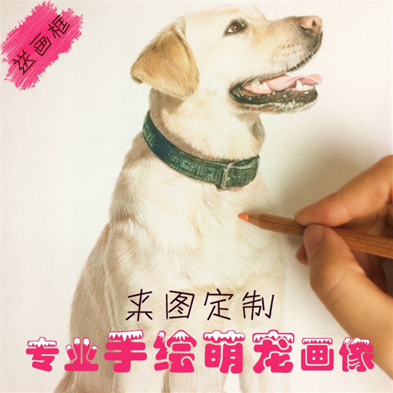 画狗猫宠物手绘素描画像手绘泰迪装饰定制鸟兔彩色画宠物照片纪念图片