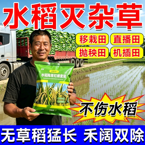 水稻苗后除草专用剂直播移栽稻田除稗草千金子香附子强力烂根剂肥