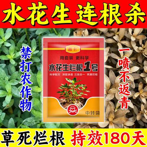 水花生克星除草烂根剂强力一扫光灭草药革命草空心莲子草专用肥料