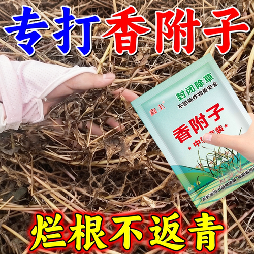 专打附香子强效封闭式香附草老牌子除草不伤苗三棱草农药组合