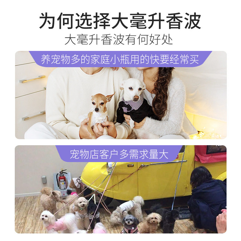宠物猫咪洗菌香味久留香沐浴露狗狗洗发水跨境宠物沐浴露加工定制