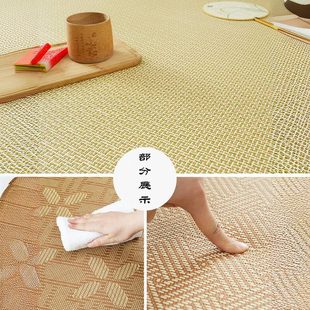凉席地垫睡觉打地铺神器榻榻米床垫午睡垫家用藤席垫加厚 环保新款