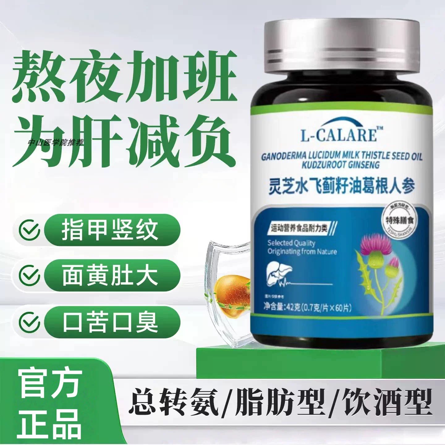 水飞蓟灵芝葛根人参片熬夜应酬