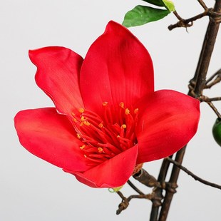 手感仿真木棉花英雄花攀枝花绢花缠绕造景酒店样板间店面假花花艺