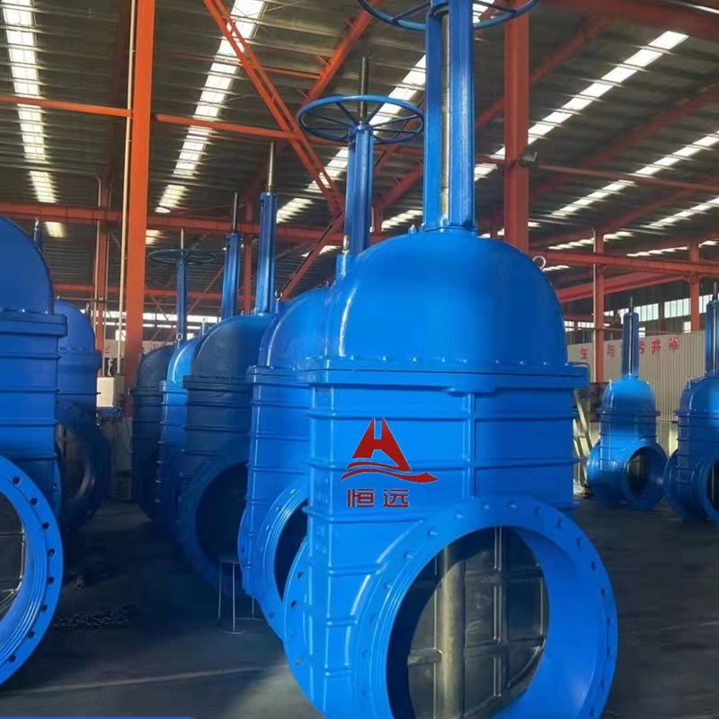 恒亚生产大口径软密封闸阀 DN700/DN800球铁法兰闸阀手动/电动闸