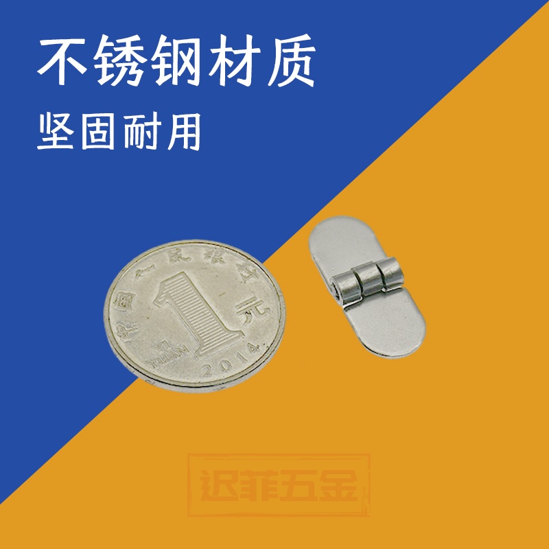 迟菲迷你小合页304不锈钢