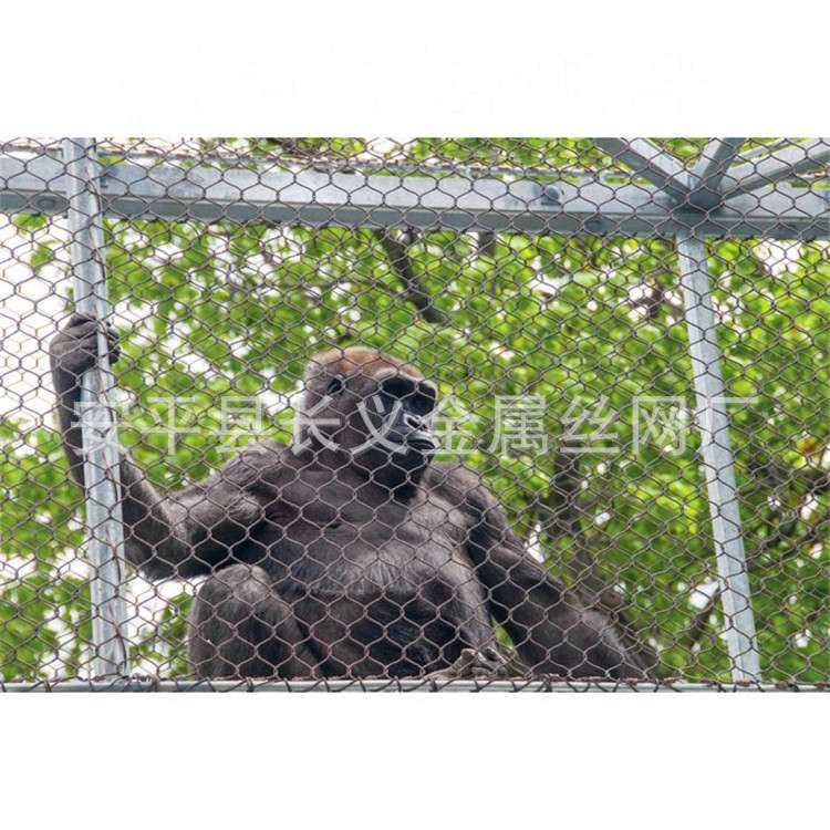 不锈钢绳编织网,动物园用网,鸟语林网，动物园笼舍，猴子笼舍