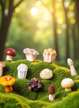 仿真写实蔬菜蘑菇微景观摆件装饰