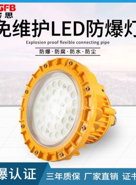 免维护防水防尘泛光灯70W80W50W圆形车间仓库投光灯60WLED防爆灯