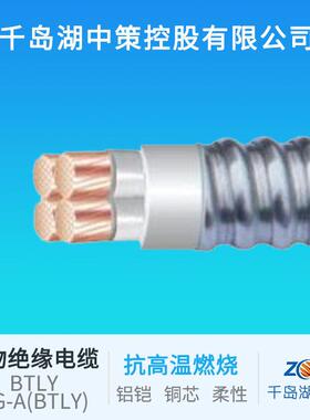 千岛湖中策控股有限公司NG-A(BTLY)铝铠矿物屏蔽电缆防火电缆线