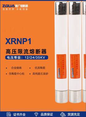 高压限流熔断器XRNP-10/12/7.2KV0.5A1A2A3.15A熔断管24/35KV智广