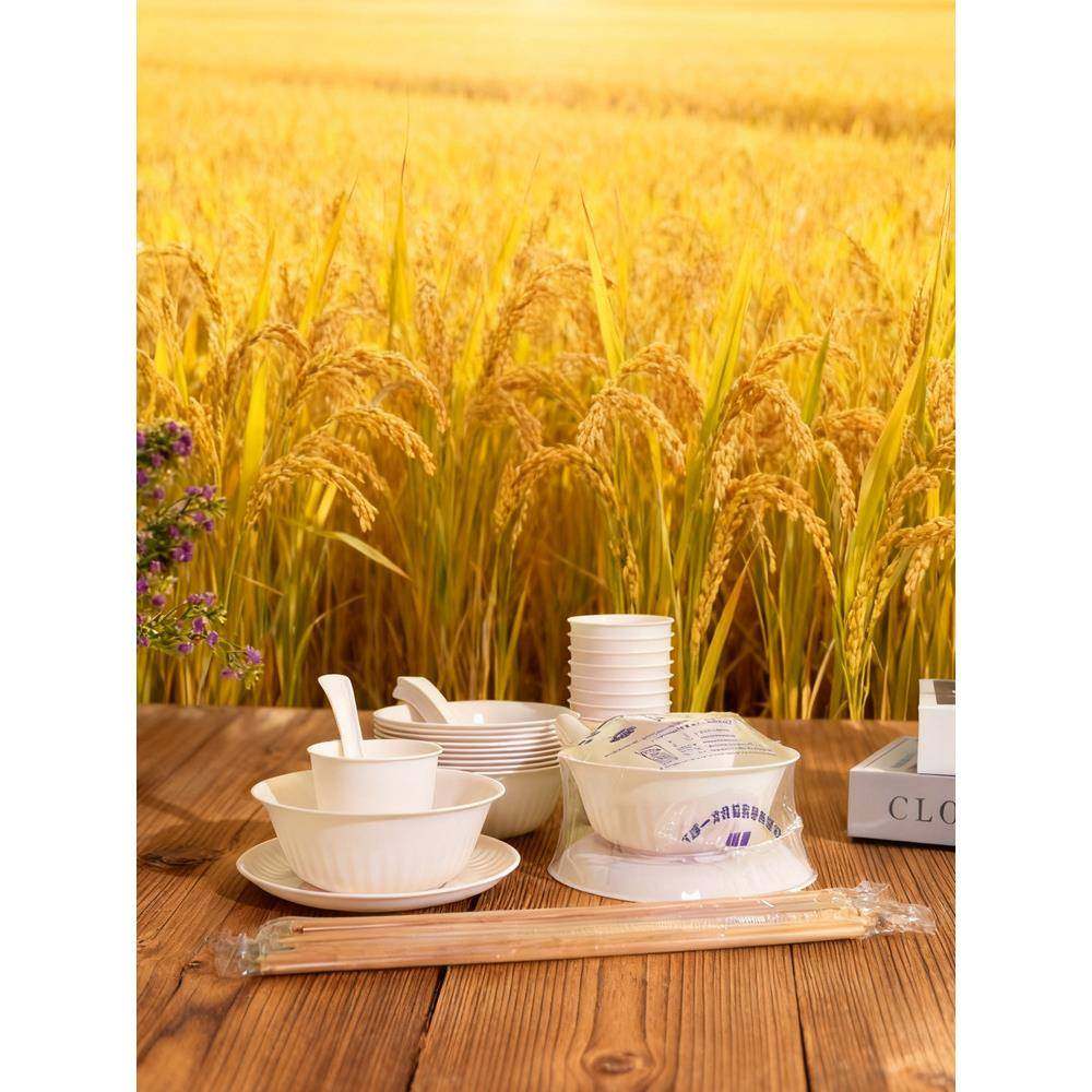 加大稻壳一次性餐具套装碗筷勺子聚会聚餐结婚方便酒席野餐四件套,餐饮具,可降解餐具/环保餐具,淘宝优惠券,粉丝福利购,淘宝优惠卷