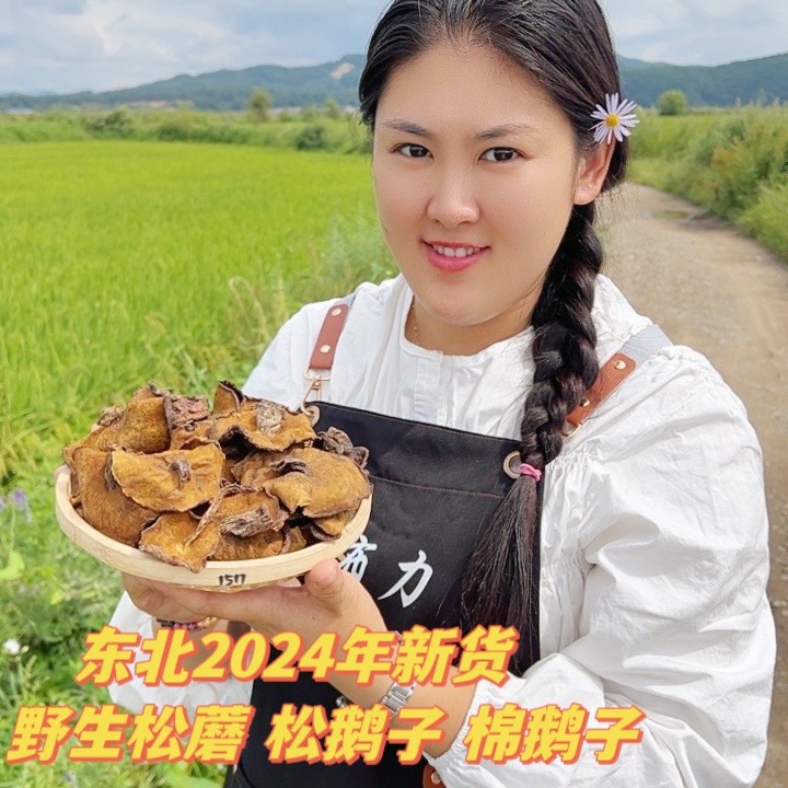 东北山里 干松蘑 腥窝子 500克松蛾子农家采山 新货干菌汤煲
